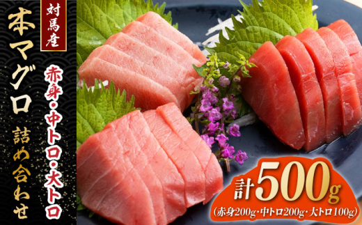 対馬産 本マグロ 500g（赤身200g、中トロ200g、大トロ100g）≪対馬市≫【桐谷商店】 トロの華 対馬 新鮮 マグロ 大トロ 鮪 刺身 鮮度抜群 [WAQ055]