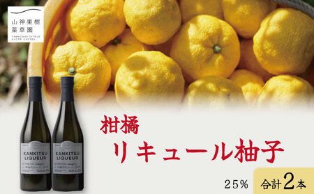 ゆず リキュール 2本 セット 25％ ゆず