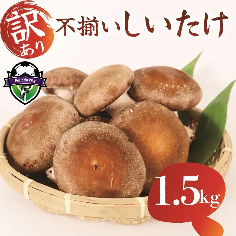 【12月～4月発送】 訳あり 不揃い 生しいたけ 1.5kg 生 しいたけ 常温 配送 シイタケ 椎茸 大ぶり 食べ応え 厚い 肉厚 うまみ 栽培期間中 農薬不使用