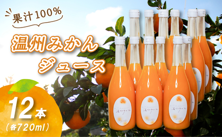 【2026年2月上旬から順次発送】温州みかんジュース 720ml × 12本 果汁100% 無添加 ストレートジュース 数量選択可 | みかんジュース 果汁100% みかんジュース ストレート 100% ジュース 柑橘 果汁飲料 みかんジュース NPO法人農音 愛媛県 松山市 中島【NO102】