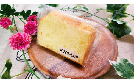 1245.【定期便12ヶ月】鳥取県産 シフォンケーキ 人気フレーバー4種 プレーン・ダブルショコラ・バナナ豆乳・アールグレイ 1セット 12回