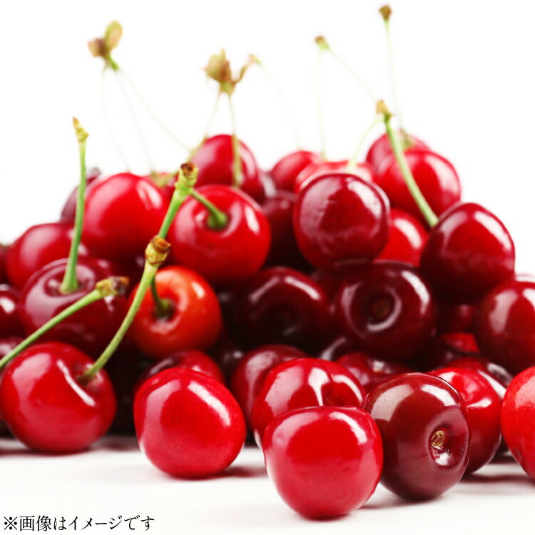 【ふるさと納税】【期間限定発送】 さくらんぼ 置賜産 紅王 特秀 3L 以上 500g [tk06ays870019 山形県 高畠町 JA山形おきたま] サクランボ チェリー 山形 果物 フルーツ くだもの