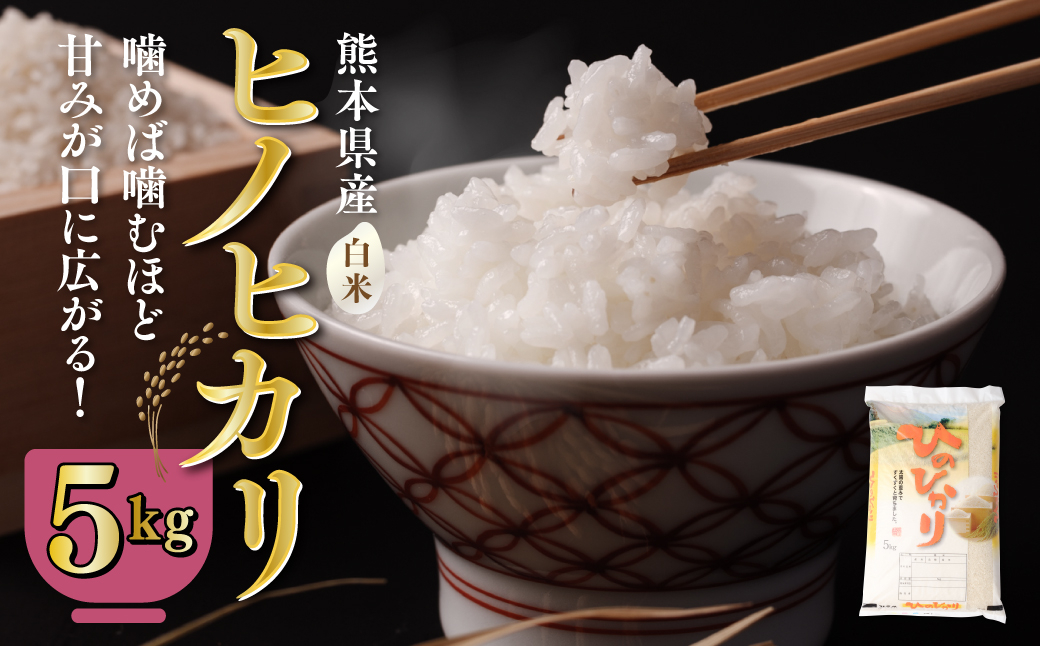 
【先行予約】【令和6年産】八代市産 ヒノヒカリ 5kg 米 熊本 送料無料 【2024年11月上旬より順次発送】
