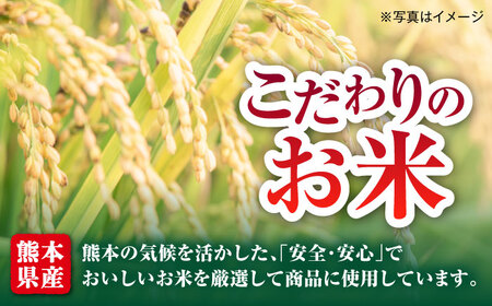 【全6回定期便】熊本県産 こだわり炒飯 りんどうポークのとんこつ風 炒飯 計2.3kg (230g×10) 冷凍食品 炒飯 [BHCS032]