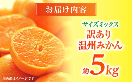 【先行予約】 温州みかん 訳あり サイズミックス 3S-3L 約5kg みかん 蜜柑 サイズ 不選別 家庭用 柑橘 フルーツ 果物 【日本フルーツ株式会社】[ZFJ050]