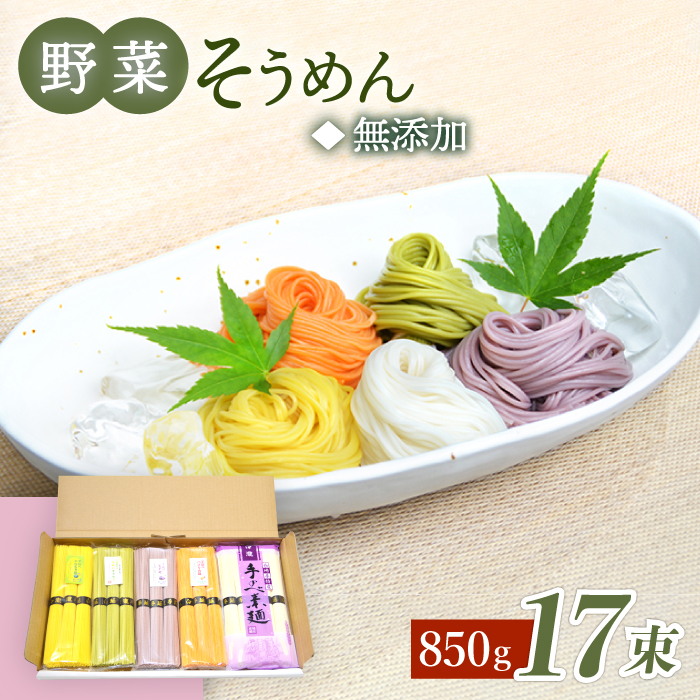 【カラフル そうめん 】 野菜 そうめん 白瀧 17束 850g /パプリカ 八女茶 かぼちゃ 紫芋 素麺 / 南島原市 [SCB073]