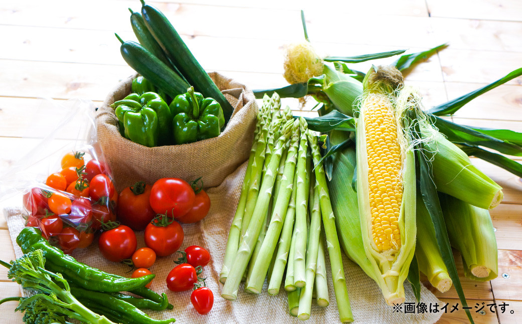 おまかせ旬野菜セット