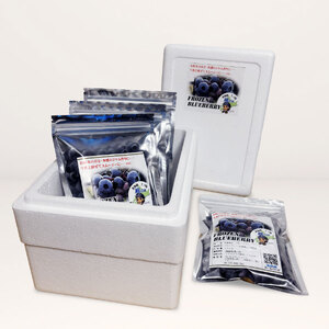 北海道産冷凍ブルーベリー　720g（180g×4袋）　ノーザンハイブッシュ系品種　冷凍　国産　人気　フルーツ　果物　くだもの　スイーツ　加工品　ポリフェノール