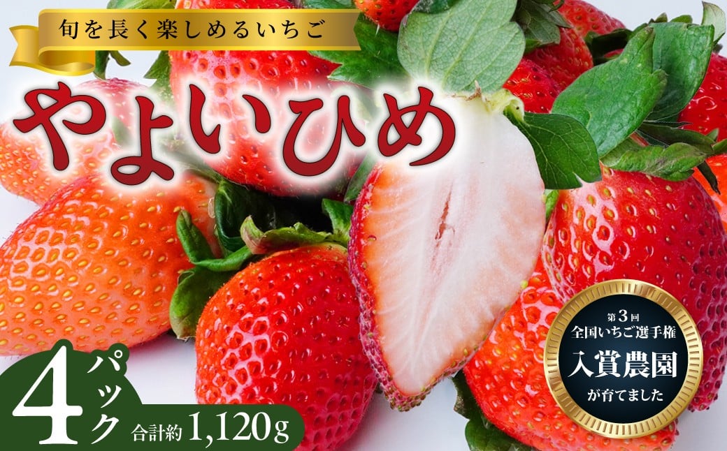 
                  いちご やよいひめ 第3回全国いちご選手権 入賞農園 280g×4パック  | いちご イチゴ 苺 ストロベリー ベリー 季節限定 高評価 果物 くだもの フルーツ 野菜 美味しい おいしい 甘み 酸味 バランス デザート スイーツ ギフト 贈り物 ビタミン 健康 埼玉県 久喜市
                