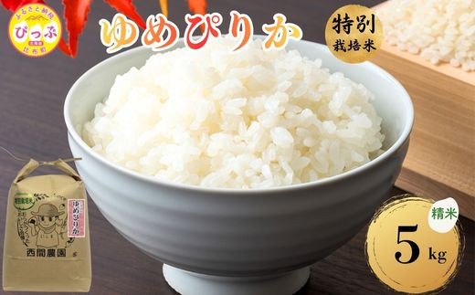 
                  【令和8年産 新米先行受付】 特別栽培米 ゆめぴりか 精米 5kg【西間農園】米 お米 北海道産 北海道米 特Aランク 国産 白米 コメ JGAP認証農場 北海道 比布町 ぴっぷ 1005-041
                