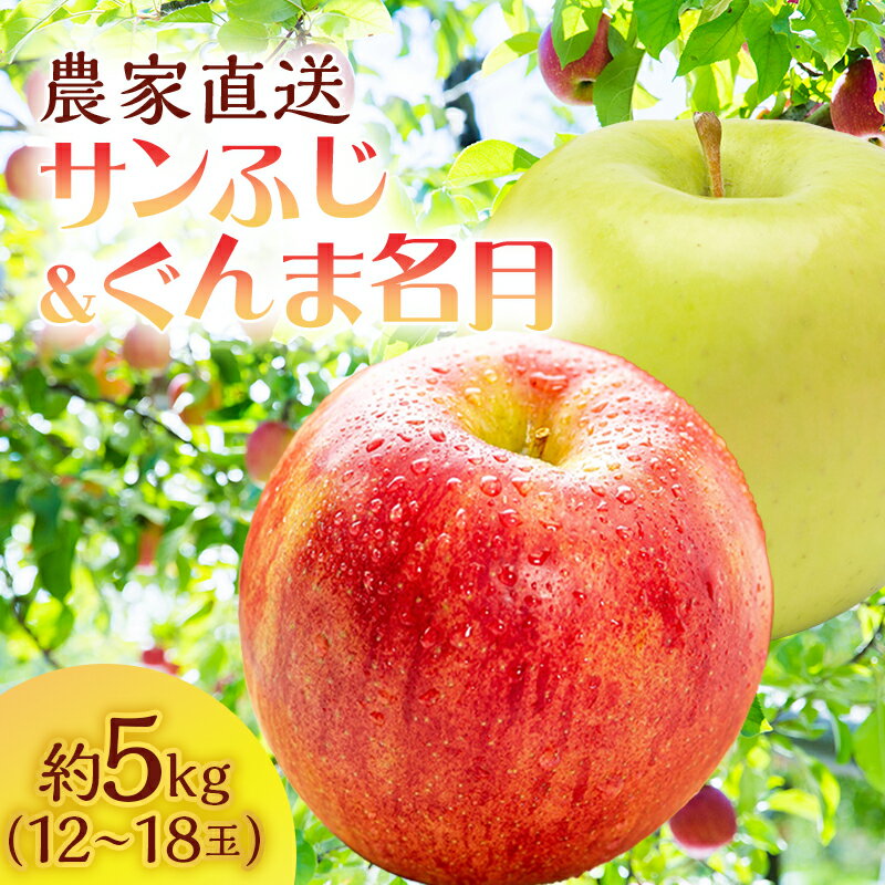 【ふるさと納税】りんご 青森 サンふじ ぐんま名月 約 5kg (12～18玉) リンゴ 詰め合わせ セット サイキチ農園 食べ比べ 青森県 鰺ヶ沢町産 フルーツ 果物 白神山地 果物類 林檎 サンフジ ふじ 2024　お届け：2025年11月5日～12月10日
