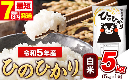 令和6年産新米 早期先行予約受付中 白米 ひのひかり 5kg《11月-12月より出荷予定》令和6年産 熊本県産 ふるさと納税 白米 精米 ひの 米 こめ ふるさとのうぜい ヒノヒカリ コメ お米 おこめ