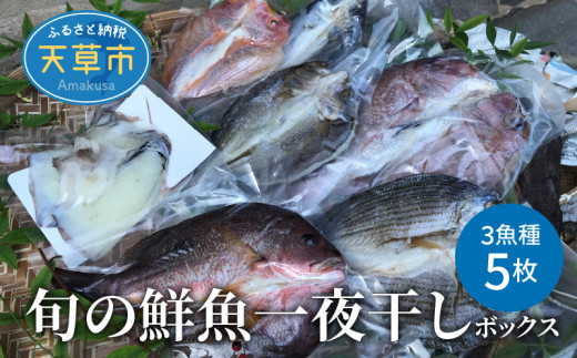 
S059-007_旬の鮮魚一夜干しボックス 3種5枚セット 干物
