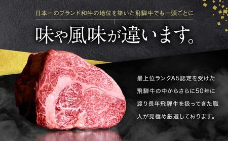 A5等級 飛騨牛 プレミアム 焼肉 切り落とし 600g | 牛肉 黒毛和牛 BBQ 肉料理 ブランド牛 訳あり 不揃い 株式会社岩ト屋 HF042【飛騨牛 牛肉 和牛 飛騨牛 牛肉 和牛 飛騨牛 牛