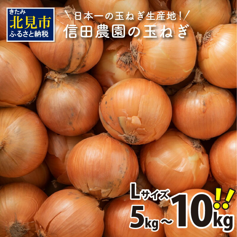 【ふるさと納税】【予約】日本一の玉ねぎ生産地！信田農園の玉ねぎ 5kg 10kg Lサイズ ( 信田農園 野菜 玉ねぎ 玉葱 タマネギ たまねぎ 甘い 5キロ オニオン ふるさと納税 選べる 配送月 発送時期が選べる )