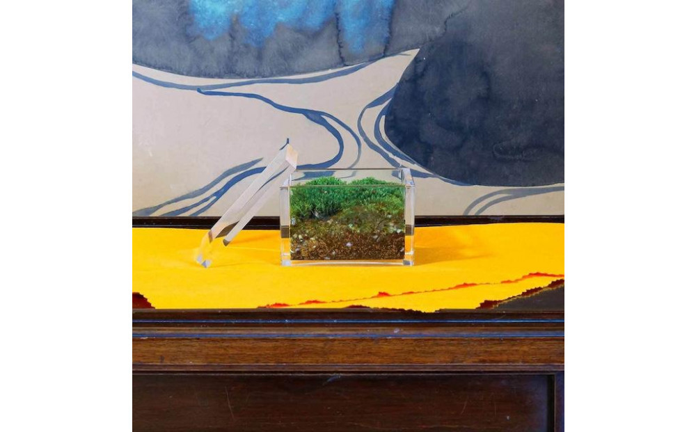 【銀座花粂】清水寺の苔 春 (3月20日頃到着 寄付日：2月3日から3月1日の方) 261009_A-SM001