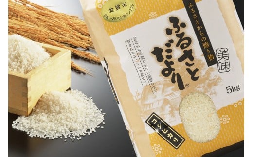 【令和7年産】日本一おいしい米コンテスト 金賞受賞 早川農興コシヒカリ 白米5kg FC015016