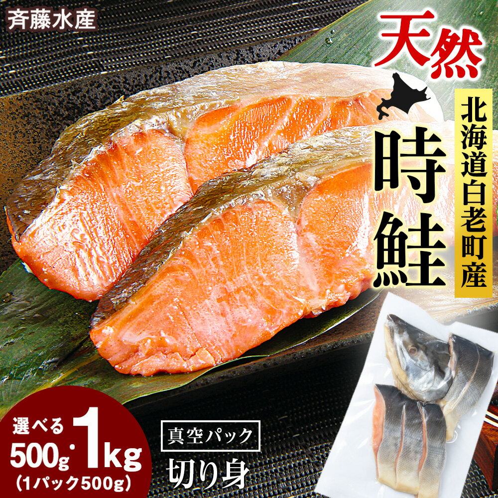 【ふるさと納税】白老町産 時鮭 トキシラズ 選べる500g〜1kg 真空パック 1パック500g〈斉藤水産〉さけ サケ 鮭 切身 カット済み サケ 小分け カット 海鮮 魚介類 魚 切身 北海道ふるさと納税 白老 ふるさと納税 北海道