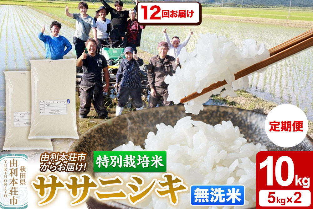 《定期便12ヶ月》令和7年産【無洗米】特別栽培米 ササニシキ 10kg（5kg×2袋） 秋田県産 [ササニシキ 米 お米 白米 精米 無洗米 特別栽培米 ブランド米 食卓 秋田県産 秋田県 由利本荘市]