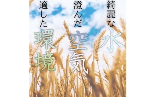 和歌山県産 キヌヒカリ 10kg(2025年産)  産地直送 米 こめ ご飯 ごはん  【sml912D】