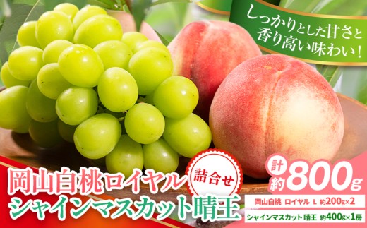 【2026年先行予約】岡山県産 岡山白桃 ロイヤル L~ 3Lサイズ シャインマスカット 計 800g 詰合せ 株式会社 はちや《2026年7月上旬‐8月下旬頃出荷》もも 岡山 国産 フルーツ 果物 岡山県 浅口市 フルーツ モモ 果物【配送不可地域あり】