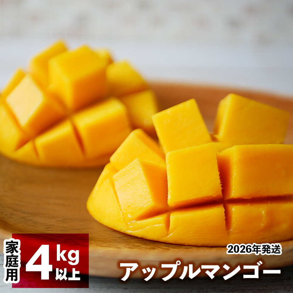 【ふるさと納税】2026年発送　アップルマンゴー（家庭用）4kg以上【羽地の駅】 2026年 果物 沖縄 特産品 旬 マンゴー 家庭用 フルーツ 先行予約 夏 お取り寄せ 甘い おすすめ デザート おいしい 数量限定 期間限定 人気 令和8年 厳選