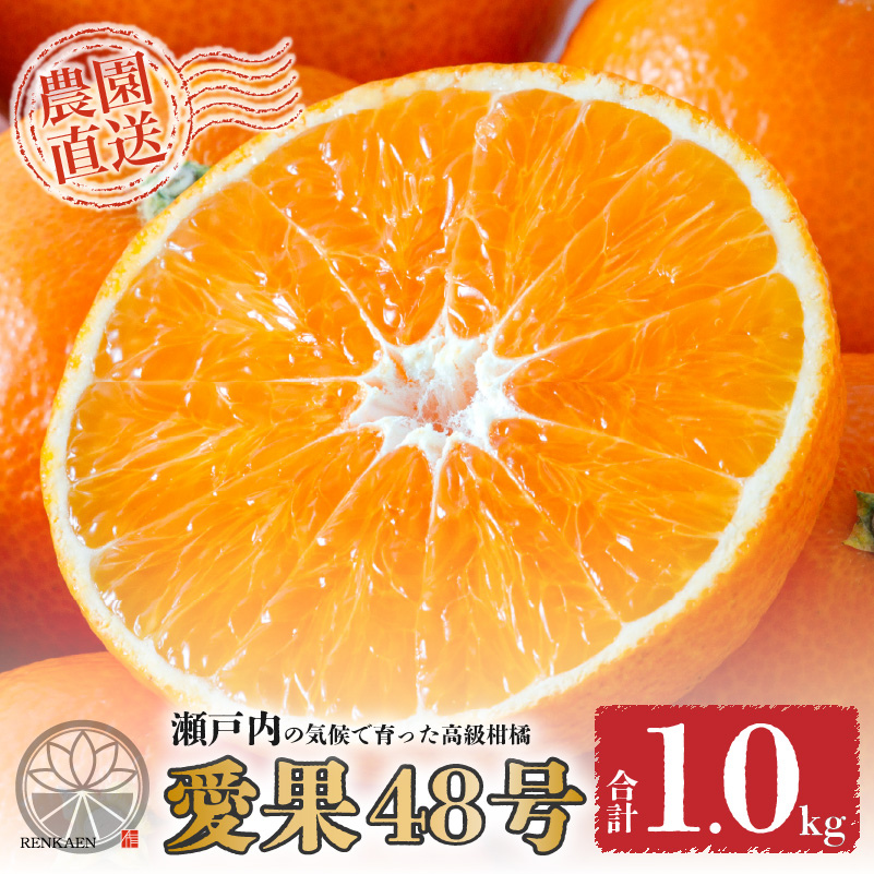【先行予約】愛果48号 家庭用 お試し1kg(4～5玉)  【2026年3月上旬から発送】 | あいか 新品種 紅まどんな × 甘平 紅プリンセス と同品種 みかん ワケアリ 訳あり B品 柑橘 果物 おすすめ 高級 人気 お取り寄せ グルメ ギフト 期間 ご当地 愛媛県 松山市 蓮果園