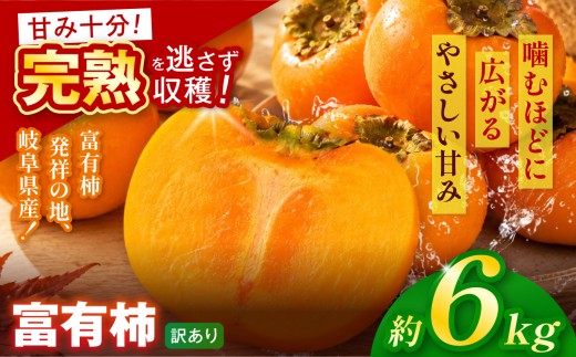 【訳あり品】先行予約 令和8年11月中旬順次発送 富有柿 ( 28個 ／ 6kg ) 1箱 |【お得にたっぷり楽しむ】 甘みと食感を存分に味わえる 柿 富有柿 フルーツ 果物 完熟 国産 季節の果物 家庭用 自宅用 訳 あり わけあり 加工用 料理用 大容量 岐阜県 本巣郡 北方町