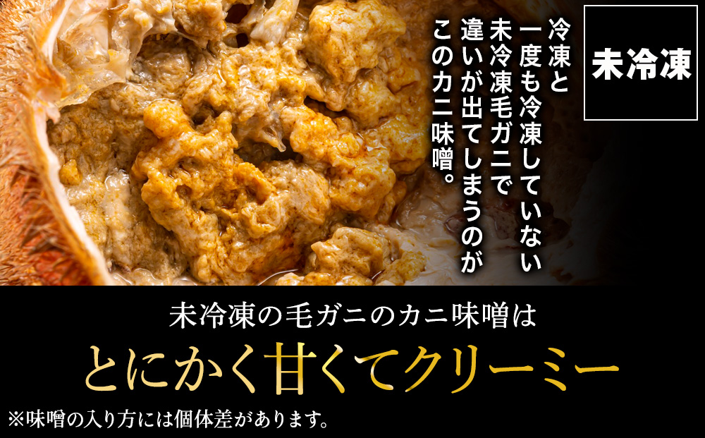 【未冷凍、冷蔵発送! 2026年新物】極・稚内産毛ガニ800g～900g 浜茹でチルド