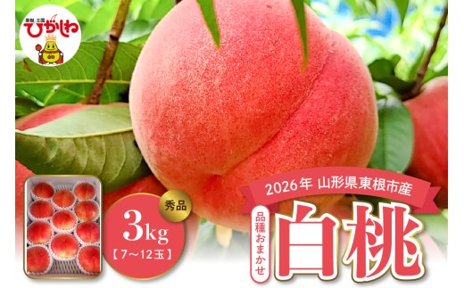【2026年産】白桃（品種おまかせ）3kg 山形県 東根市 みのる果樹園提供 hi063-003-r8