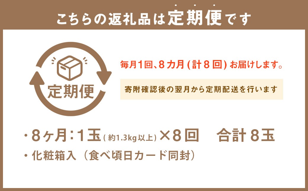 静岡県産高級 アローマメロン 白等級 約1.3kg以上×中玉1玉