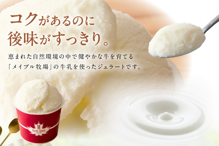 島根の新鮮な素材をふんだんに使った「イタリアンジェラート」（6個入） アイスクリーム 人気 スイーツ イタリアンジェラート お菓子 アイス ミルク チョコ 抹茶 苺 ギフト ご褒美 贈答【003_06