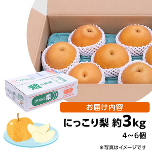 【 先行予約 】 にっこり梨 約3kg 箱 大玉 4玉～6玉 ( 茨城県共通返礼品 城里町 ) 2025年11月上旬から発送開始 フルーツ 甘い お正月 クリスマス 大玉 直送 茨城 限定 [CO00