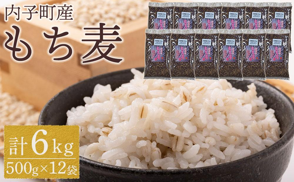 
内子町産 もち麦（6kg）【食品 加工食品 人気 おすすめ 送料無料】
