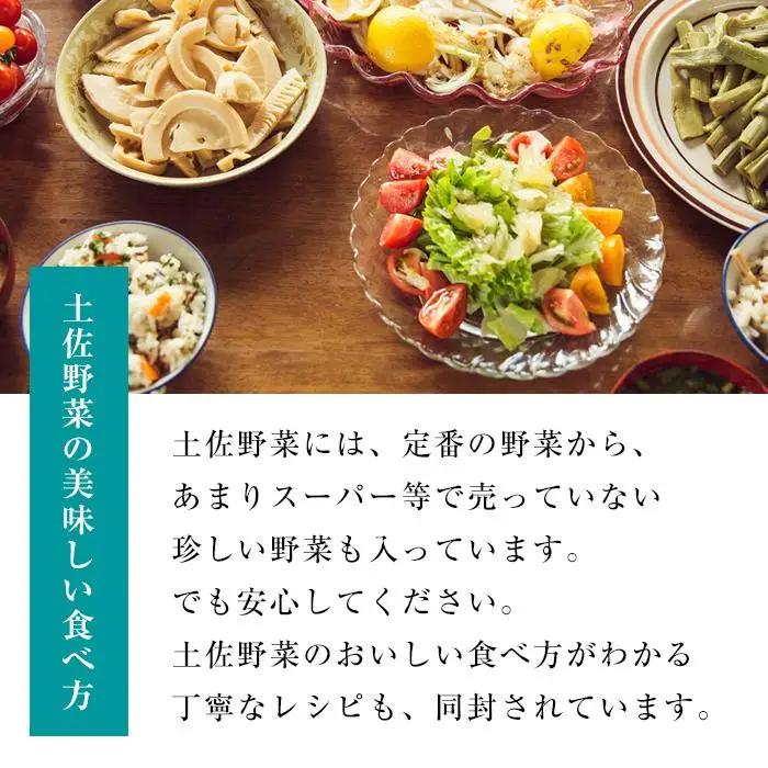 やさい 12回定期便 土佐野菜セット やさい