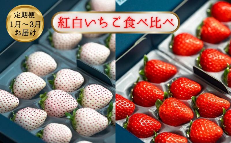 数量限定！先行受付！【定期便3回】佐賀県産 紅白いちご食べ比べ【2027年1～3月発送】さがほのか パールホワイト 苺 イチゴ：B395-004 定期便3回（1月～3月）