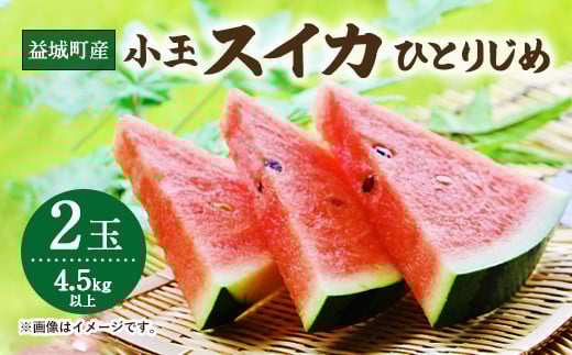 益城町産 スイカ 小玉 ひとりじめ 2玉 4.5kg以上 【2025年5月下旬～6月上旬発送予定】