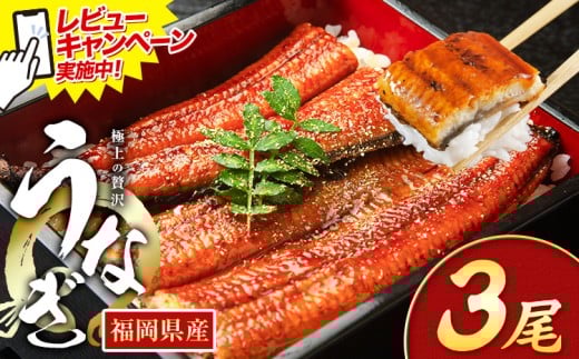 レビューキャンペーン実施中！ うなぎ 鰻 ご家庭用  3尾 (サイズ不選別：1尾当たり140g-180g) 福岡県産 鰻の蒲焼き 数量限定 株式会社HOMIE《1月上旬-1月末頃出荷》福岡県 鞍手郡 鞍手町 鰻 蒲焼き 数量限定 国産 蒲焼 うなぎ蒲焼