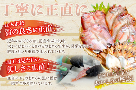 【訳アリ】白いか一夜干し　（７０ｇ～１５０ｇｘ6～10枚） 訳アリ 小分け いか 白いか 個包装 一夜干し 産地直送 おつまみ【1961】