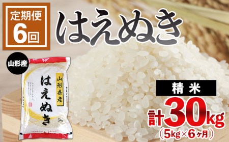 【定期便6回】山形産 はえぬき 5kg×6ヶ月(計30kg)