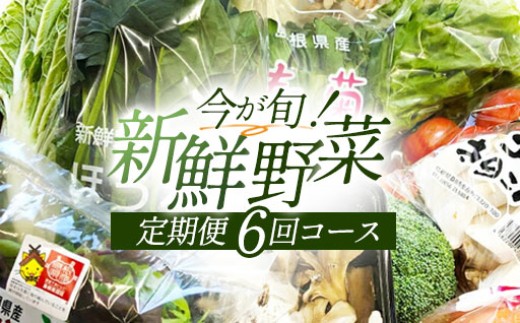 C-864 今が旬！新鮮野菜定期便(6回コース)