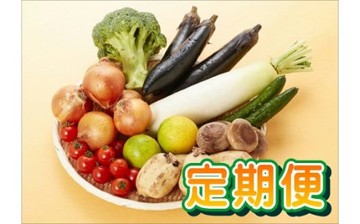 
Q-49 【6回定期便】鮮度抜群！肥前の国のお野菜詰め合わせセット（8～10品目）
