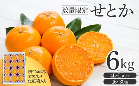 【先行予約】せとか6㎏(16～30玉・化粧箱)