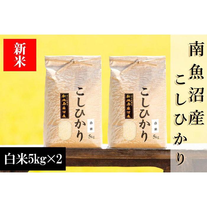 【ふるさと納税】【令和8年産 新米予約】南魚沼産コシヒカリ（白米）【10kg】【銘柄米 ブランド米 精米 こしひかり コシヒカリ 魚沼産 新潟米 産地直送 お米 米 こめ コメ ご飯 御飯 ごはん】【2026年10月上旬から1ヶ月以内に順次発送予定】