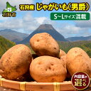 【ふるさと納税】新じゃが 新じゃがいも ジャガイモ【2024年度産：9月〜発送】石狩産じゃがいも(男爵)S〜Lサイズ混載(5kg)(10kg)石狩市 いしかり 北海道 北海道産 野菜 農産物 秋野菜 根菜 新ジャガ 芋 おいも 男爵 人気 品種 イモ 薯（のし対応）【NEW】