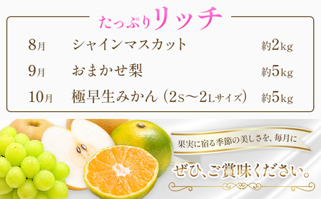 旬の フルーツ 定期便 3ヶ月連続 秀品 リッチ 計12㎏ 日本フルーツ株式会社《8月上旬-10月末頃出荷》熊本県 荒尾市 シャインマスカット おまかせ 梨 極早生みかん 果物 フルーツ スイーツ デ