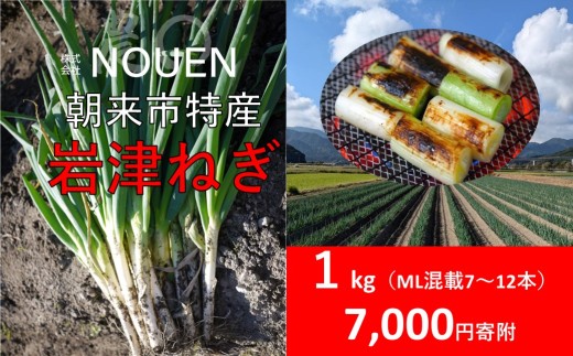 朝来市特産 岩津ねぎ 1kg <太さにより7～12本> MLサイズ混在 希少 栄養豊富 期間限定 甘い 太い 柔らかい すき焼き 焼きねぎ 天ぷら 鍋 NOUEN 出荷期間12月上旬から2月上旬 兵庫県 朝来市 「岩津ねぎを核とした資源循環型農業システム」が日本農業遺産に認定
