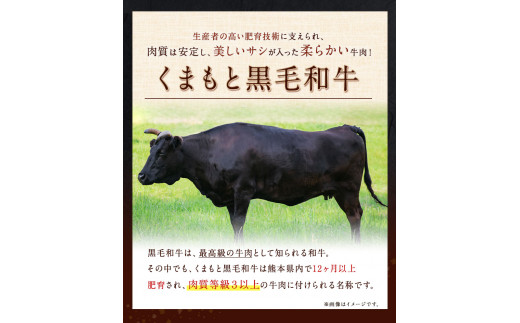 熊本県産 あか牛 くまもと黒毛和牛 もつ鍋セット こだわり和風仕立て 肉のみやべ 《120日以内に出荷予定(土日祝除く)》 ---sm_fmiyaakkrhr_120d_23_13500_4p---