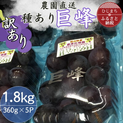 【ふるさと納税】【訳あり】巨峰(種あり)360g×5パック【配送不可地域：離島】【1731656】