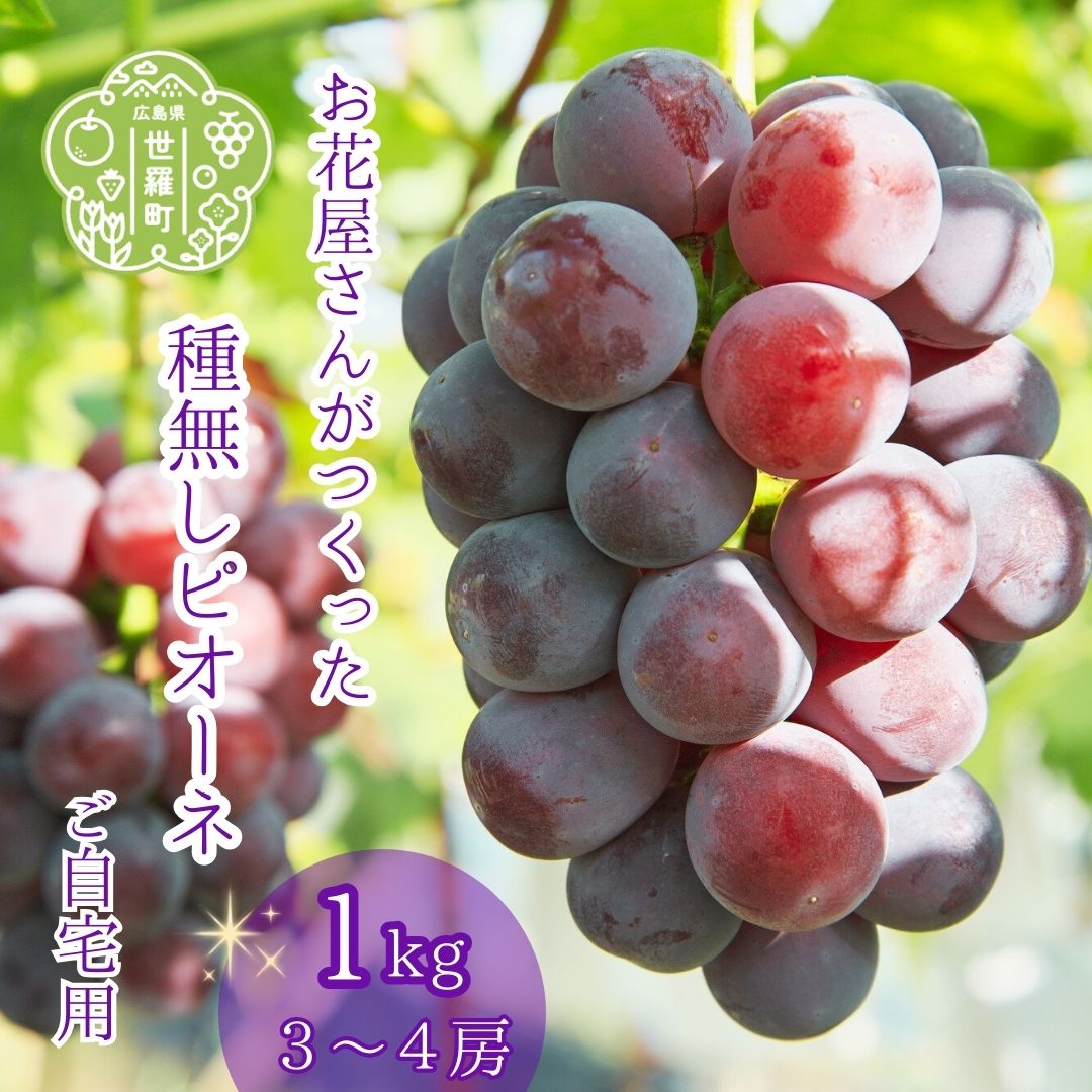 【ふるさと納税】【ご自宅用】種無しピオーネ1kg（3～4房）【2025年8月中旬以降順次発送】果物 くだもの フルーツ たねなし ピオーネ せら ブドウ ぶどう 葡萄 世羅産 世羅町 世羅 A062-06